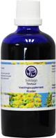B. Nagel Solidago tinctuur 100ml