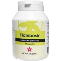 Flambosin Capsules 90st