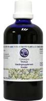 B. Nagel Crataegus tinctuur 100ml
