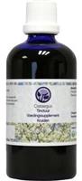 B. Nagel Crataegus tinctuur 100ml