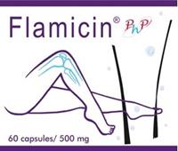 Flamicin 500mg Capsules 60st
