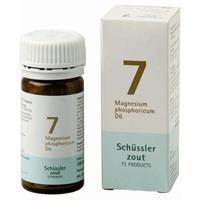 Pfluger Celzout 07 Magnesium Phosphoricum D6 Tabletten