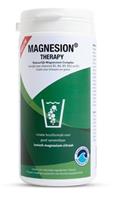 Magnesion Therapy 175 gr