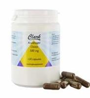 Holisan Kruidnagel Clove Lavanga Capsules 120st