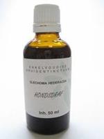 Natura Sanat Glechoma hederacea helix / hondsdraf 50ml