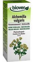 Biover Alchemilla Vulgaris