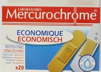 Mercuro Pleisters Economisch