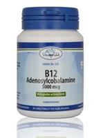 Vitakruid B12 Methylcobalamine 5000ug
