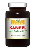 Elvitaal Kaneel met salaretin 90cap