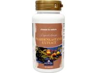 Hanoju Paardenkastanje extract 300 mg 60ca