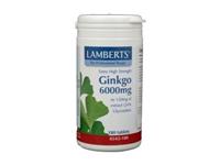 Lamberts Ginkgo 6000 180 tabletten