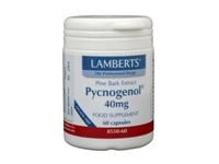 Lamberts Pijnboombast Extract (Pycnogenol 40 Mg) (60vc)