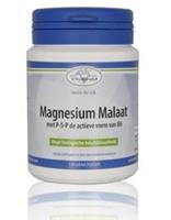 Vitakruid Magnesium Malaat Poeder