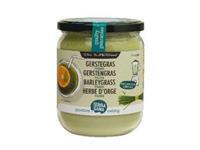 Terrasana Gerstegras Poeder In Glas (130g)