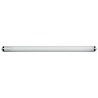 Lamp met splinterhoes 40 Watt