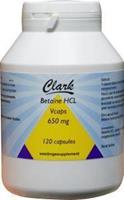 Holisan Clark Betaine HCL 650mg