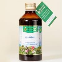 Maharishi Ayurveda Prana Rasayana Liquid