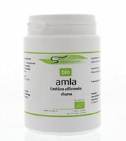 Surya Bio amla churna 100g