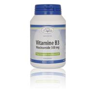 Vitakruid B3 Niacinamide 500mg Capsules