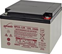 EnerSys Genesis NP24-12 Bleiakku 12V 24Ah Blei-Vlies (AGM) (B x H x T) 166 x 125 x 175mm M5-Schrauba S024491