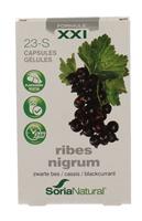 Soria Natural Soria Ribes Nigrum XXI Capsules