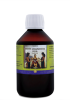 Holisan Brihat Nirgundyathi Taila (250ml)