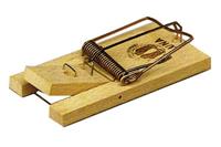 Mousetrap Buchenholz