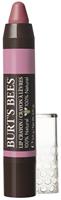 Burt's Bees Matte Lip Crayon Carolina Coast