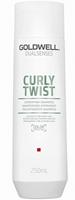 Goldwell Dualsenses Curly Twist Hydrating Shampoo