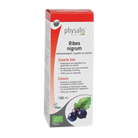 Physalis Ribes nigrum 100 ml