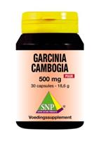 SNP Garcinia cambogia 500 mg puur 30 capsules