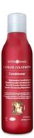 suryabrasil Surya Brasil Color Fixation Conditioner