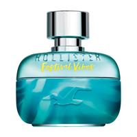 Hollister FESTIVAL VIBES FOR HIM eau de toilette spray 100 ml