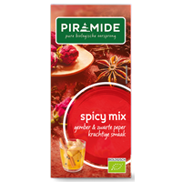 Piramide Thee spicy mix 20 Stuks