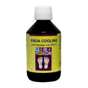 padaprana Pada Prana Pada Cooling (250ml)