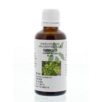 Natura Sanat Ginkgo biloba fol / japanse tempelboom 50ml