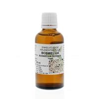 naturasanat Natura Sanat Boswellia Serrata / Boswellia Tinctuur (50ml)