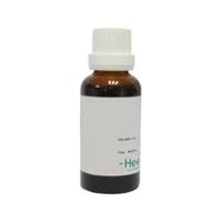 Homeoden Heel Echinacea purpurea phyto 30 ml