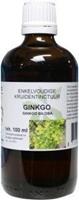 Natura Sanat Ginkgo biloba fol / japanse tempelboom 100ml