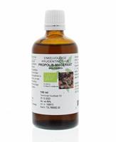 Natura Sanat Propolis tinctuur bio