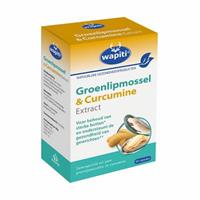 Wapiti Groenlipmossel & Curcumine Extract Capsules