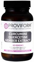 Proviform Curcumine Quercetine Gember Extract Capsules