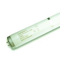 philips Lamp vliegenvanger GR 18 Watt