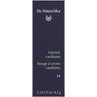 Dr. Hauschka 14 – Caralluma Lipstick 4.1 g