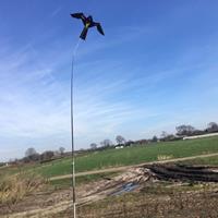 vogelverschrikker Bird Scaring Kite 4 meter Vogelverjagende vlieger