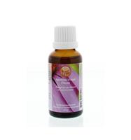 Nagel Apeiron Vitaal Fitoxo (30ml)