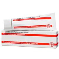 Abrotanum Salbe N