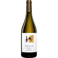 Enate Chardonnay 234 DO 2019