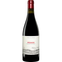 Telmo Rodríguez Pegaso »Barrancos de Pizarra« 2013 2013  0.75L 15% Vol. Rotwein Trocken aus Spanien
