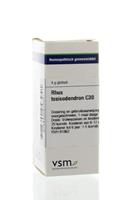 VSM Rhus toxicodendron c30 4g
